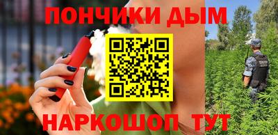 прущие грибы Лесосибирск
