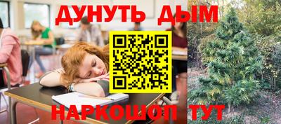 прущие грибы Лесосибирск