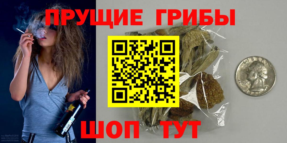 Кингисепп  Псилоцибиновые грибы ЛСД  Вход с VPN  Псилоцибиновые грибы Psilocybe 