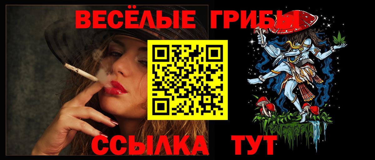 Галлюциногенные грибы Cubensis Кингисепп