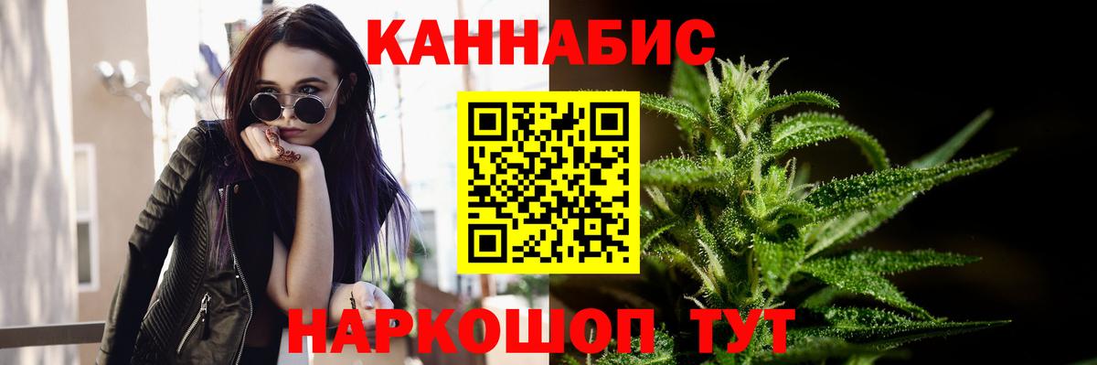 Конопля марихуана Кингисепп